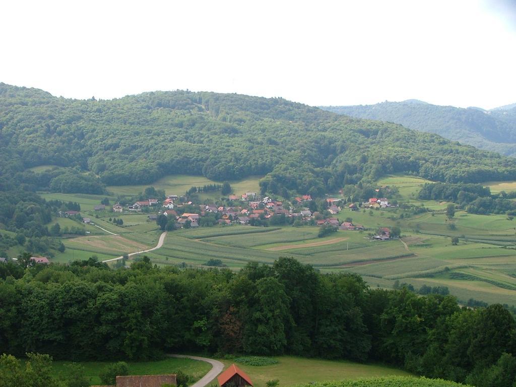 Tourist Farm Pri Martinovih Villa Krška Vas Eksteriør bilde